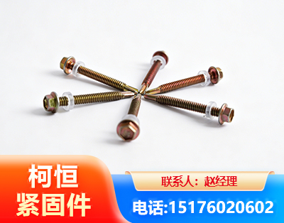 海西六角钻尾丝